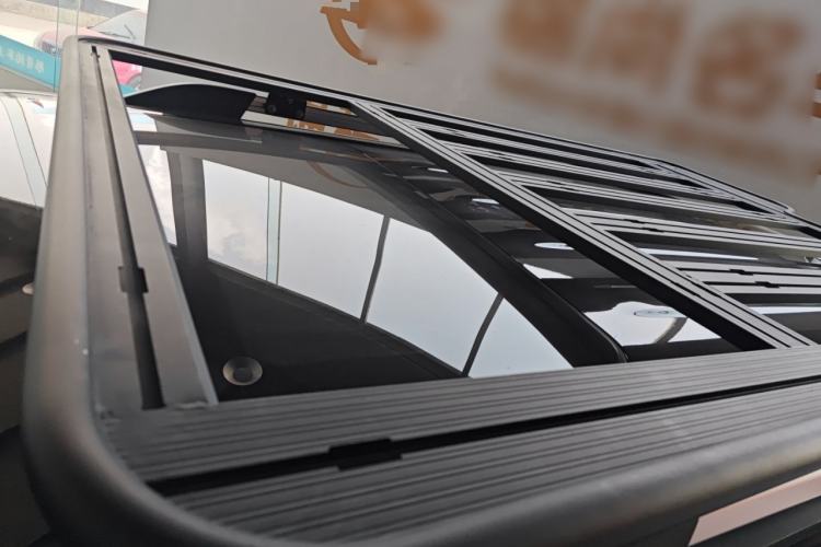 Used Tank 300 2024 2.0T Crosser