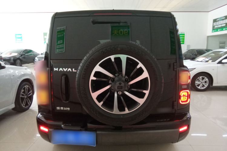 Used Haval H9 2024 2.0T Gasoline All-Wheel-Drive Extreme Edition Rear