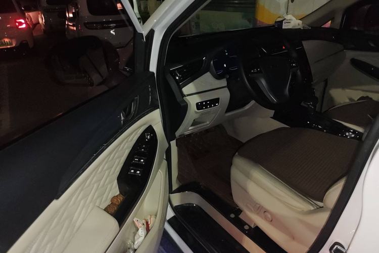 Used Oshan Cosmos 2019 1.5T Automatic Flagship Version China VI Standard