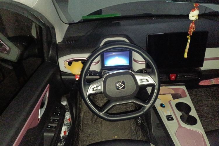 Used SOL E10X 2022 Flower Fairy Style Baby's Breath Steering Wheel