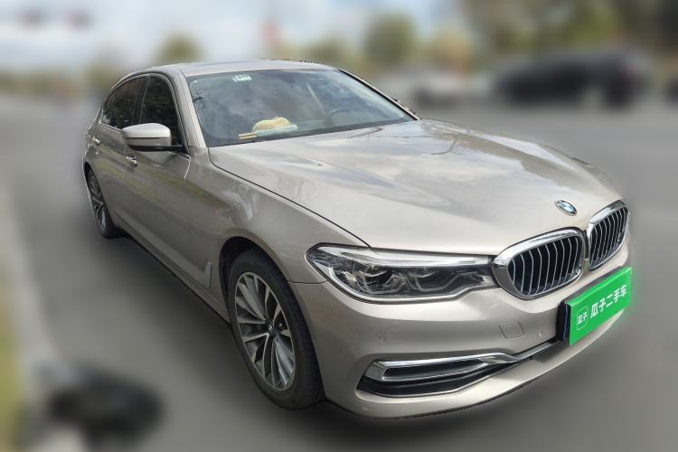 Used BMW 5 Series 2020 530Li xDrive Luxury Package
