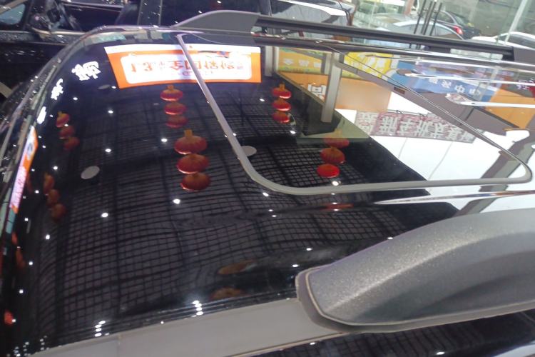 Used Tank 300 2024 2.0T Conqueror