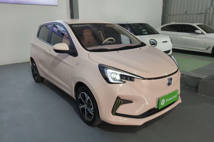 Used CHANGAN Benni E-Star 2022 Qingxin Edition Colorful Model Lithium Iron Phosphate
