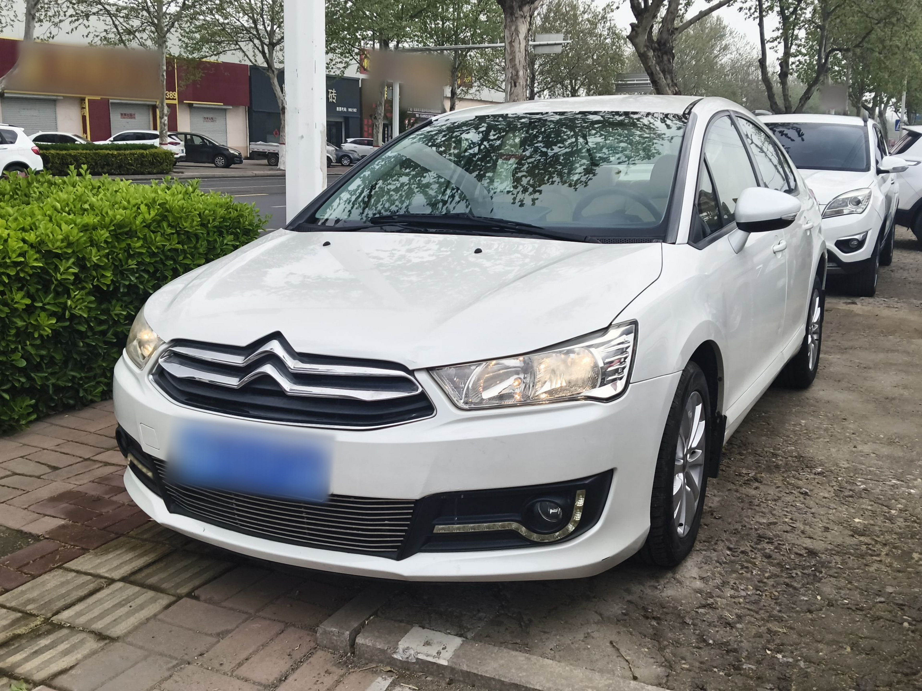 Parte inferior delantera