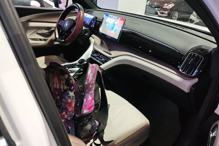 Used BYD Song Pro New Energy 2024 HONOR Edition DM-i 71KM Navigation Model Right Front Seat