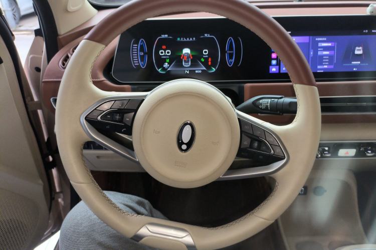 Used ORA Good Cat 2022 Morandi Edition 400km Standard Range Luxury Version Lithium Iron Phosphate