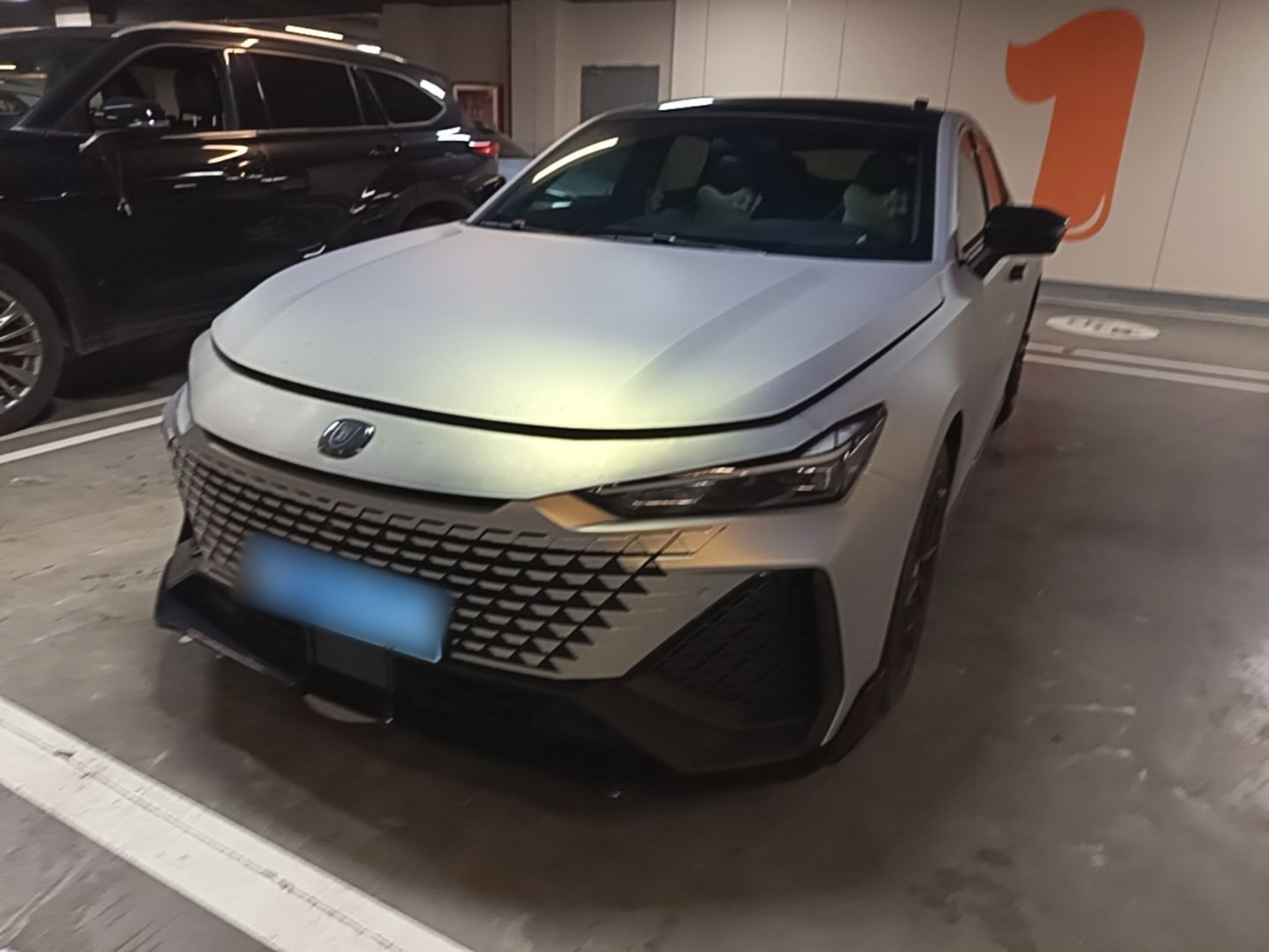 Under Front Bumper