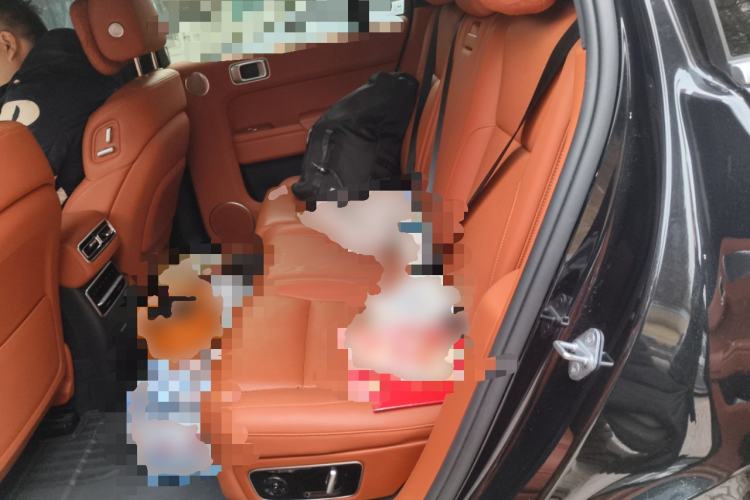 Used Li Auto L7 2023 Pro Model
