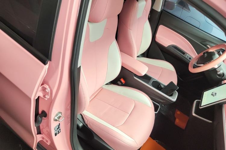 Used NETA V 2022 Chao 400 Lite Pink Custom Edition Right Front Seat