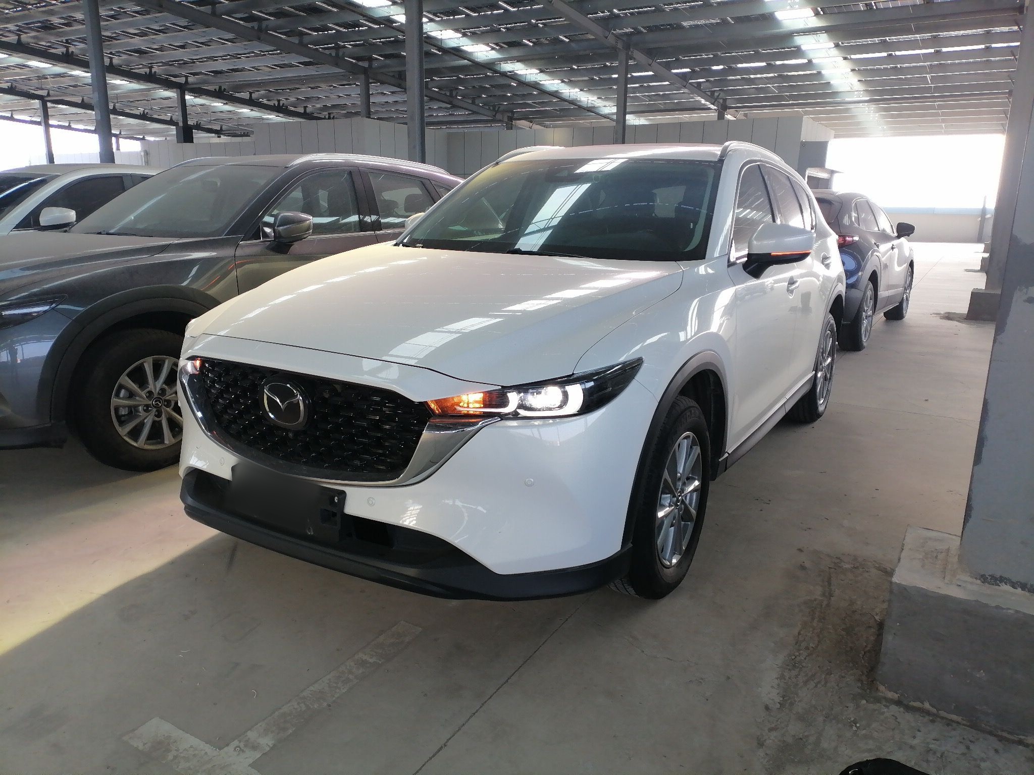 Parte inferior delantera