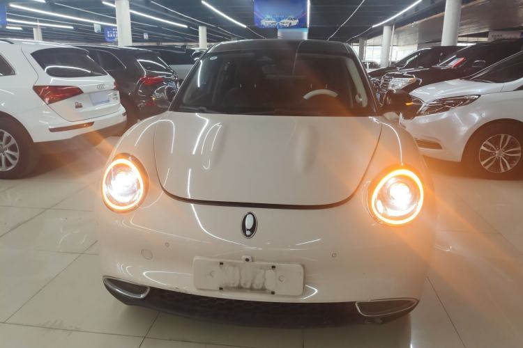 Used ORA Good Cat 2021 400km Standard Range Athena Edition Lithium-Ion Battery
