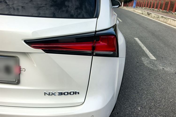 Used Lexus NX 2020 300h Front-Drive FENGSHANG Version China VI Standard Exterior 8