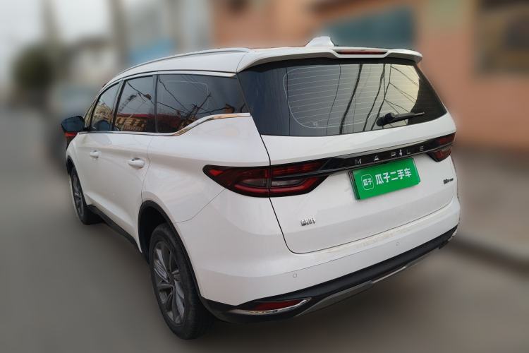 Used Livan Maple 80v PRO 2022 Comfort Model Long-Range Version