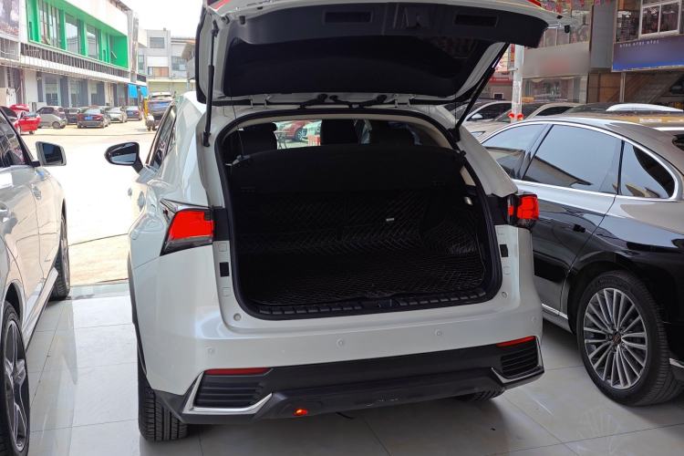 Used Lexus NX 2018 200 Front-Wheel-Drive X-Trail Version China V Standard Trunk