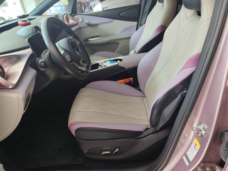 Used BYD Dolphin 2023 420 km Fashion Edition — 14