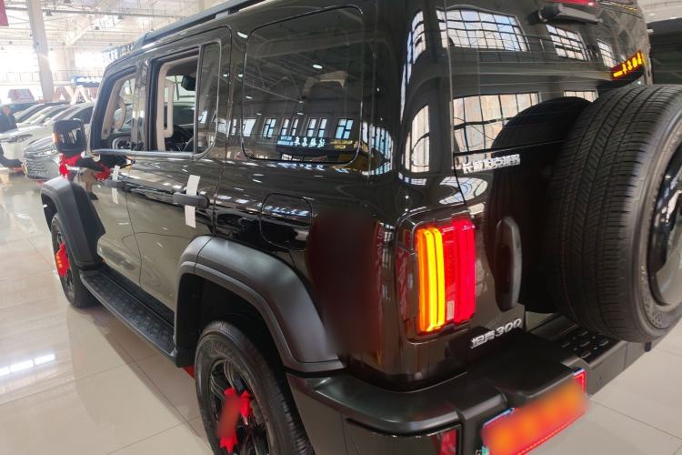 Used Tank 300 2024 2.0T Conqueror
