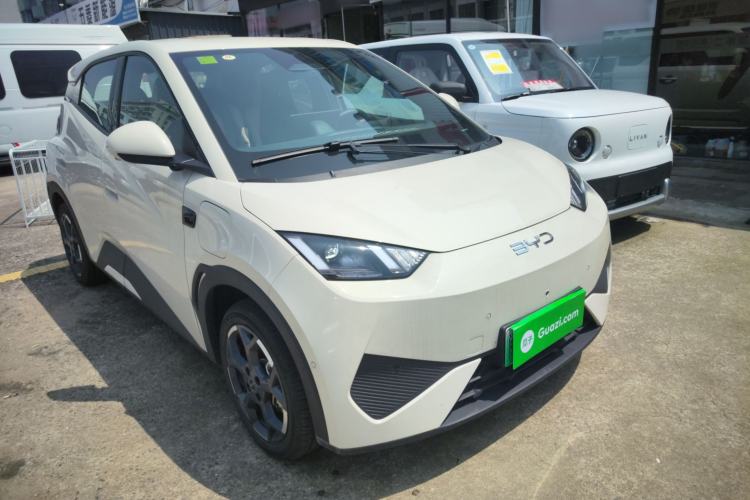 Used BYD Seagull 2025 Smart Drive Version 305 km Freedom Edition
