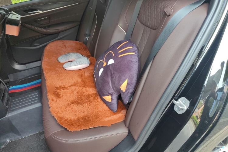 Used BMW 5 Series 2023 530Li Leading Model M Sport Package
