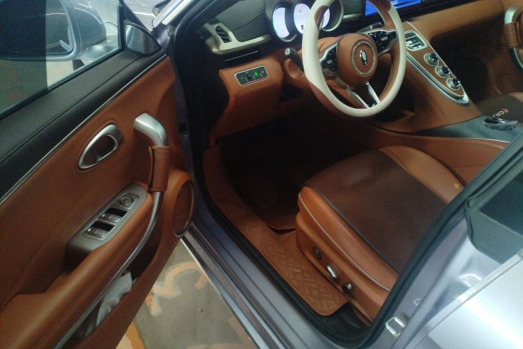 Used ORA Lightning Cat 2022 555 km Luxury Edition Driver Seat