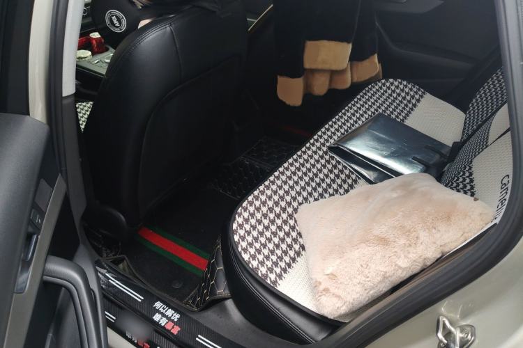 Used Audi A4L 2018 30th Anniversary Edition 40 TFSI Trendy Model Left Rear Seat