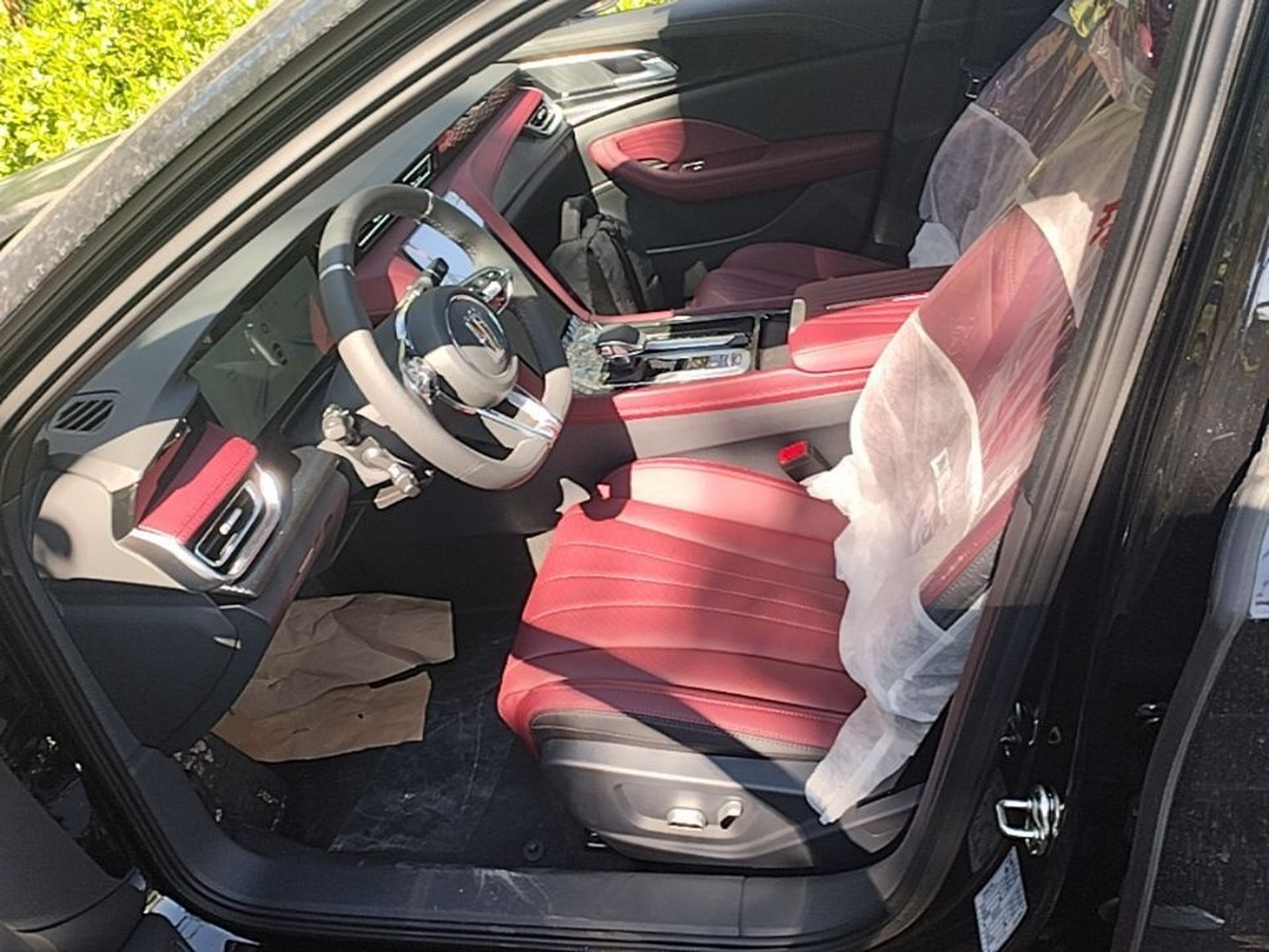 Interior delantero