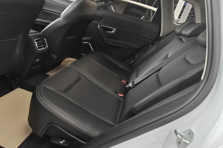 Used BYD Song Pro 2019 1.5T Automatic Luxury Model Left Rear Seat