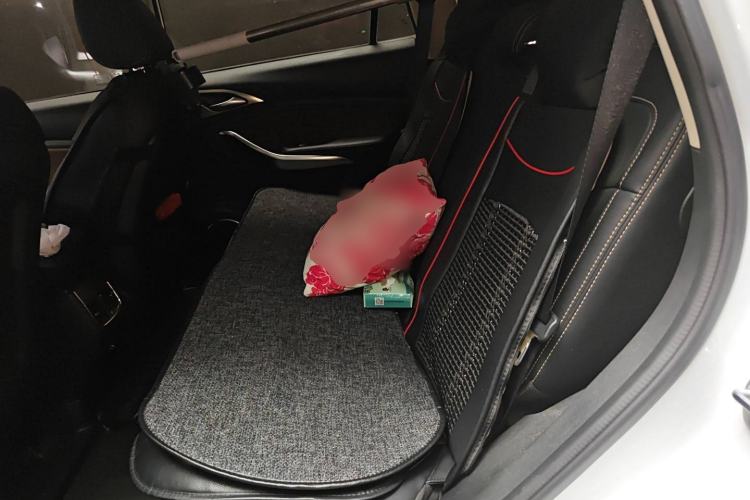 Used BYD Song New Energy 2017 Song DM 1.5TID All-Wheel Drive Luxury Model Left Rear Seat