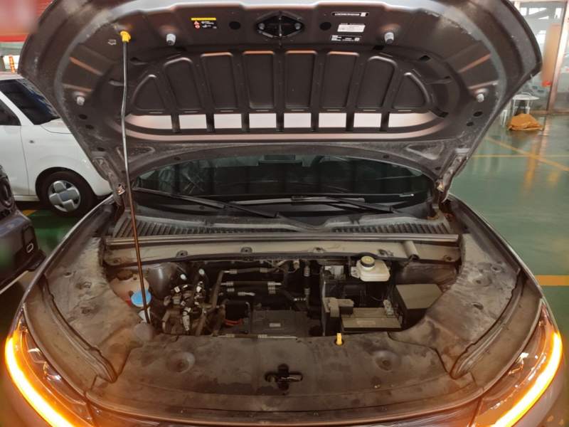 Used BYD Yuan UP 2024 301KM Leading Edition — 19
