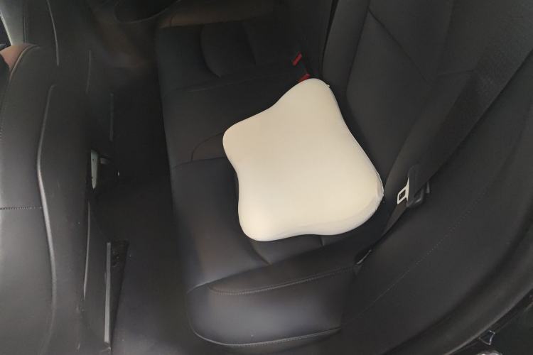 Used Tesla Model 3 2020 Revised Version Standard Range Rear-Wheel Drive – Upgraded Edition
