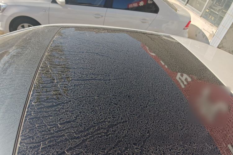 Used Skoda Octavia 2018 TSI230 DSG Luxury Edition
