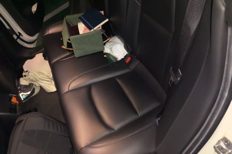 Used Tesla Model 3 2020 Standard Range Rear-Wheel Drive Upgraded Version
