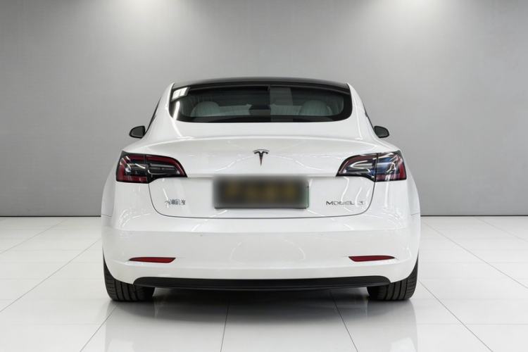 Used Tesla Model 3 2020 Standard Range Rear-Wheel Drive Upgraded Version