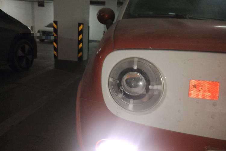 Used ORA Black Cat 2019 351 km Goddess Edition Exterior 6