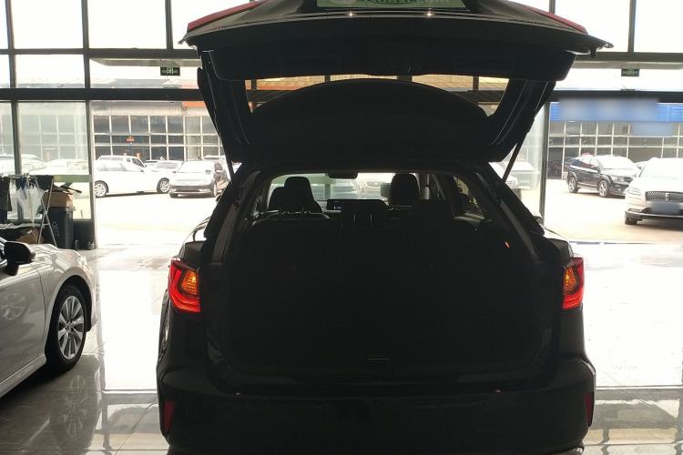 Used Lexus RX 2016 300 Two-Wheel Drive Elite Version China V Standard
