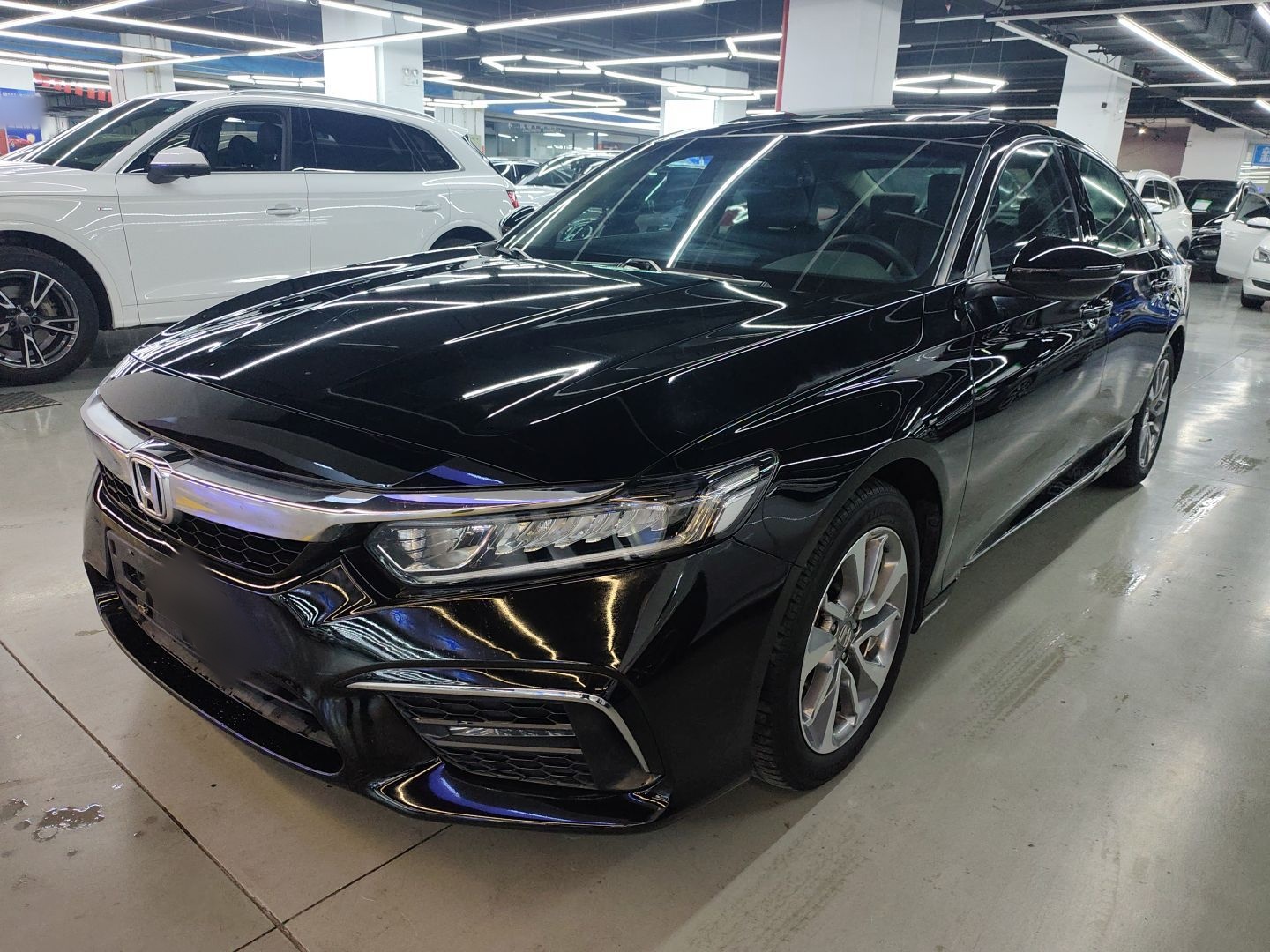 Parte inferior delantera