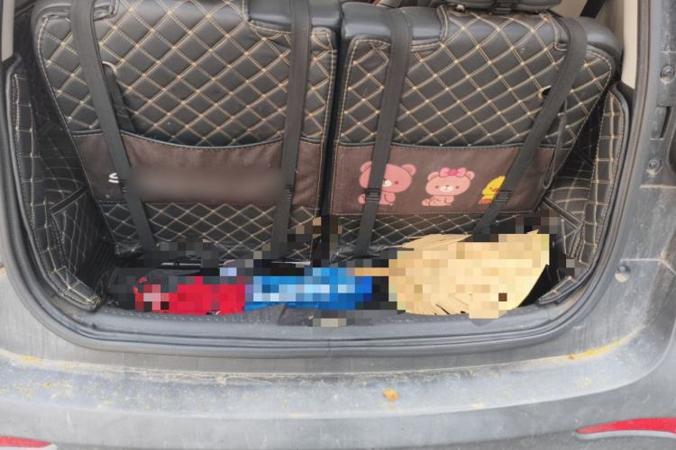 Used Chery Little Ant 2022 Sweet Pink Edition Full-Sugar Version 3-Cell Lithium 30kW 301km Trunk