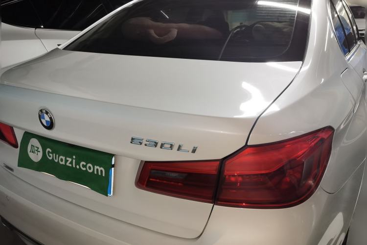 Used BMW 5 Series 2019 530Li xDrive Luxury Package Rear