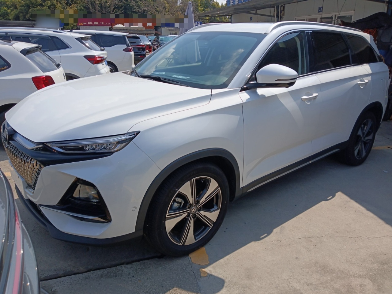 Parte inferior delantera