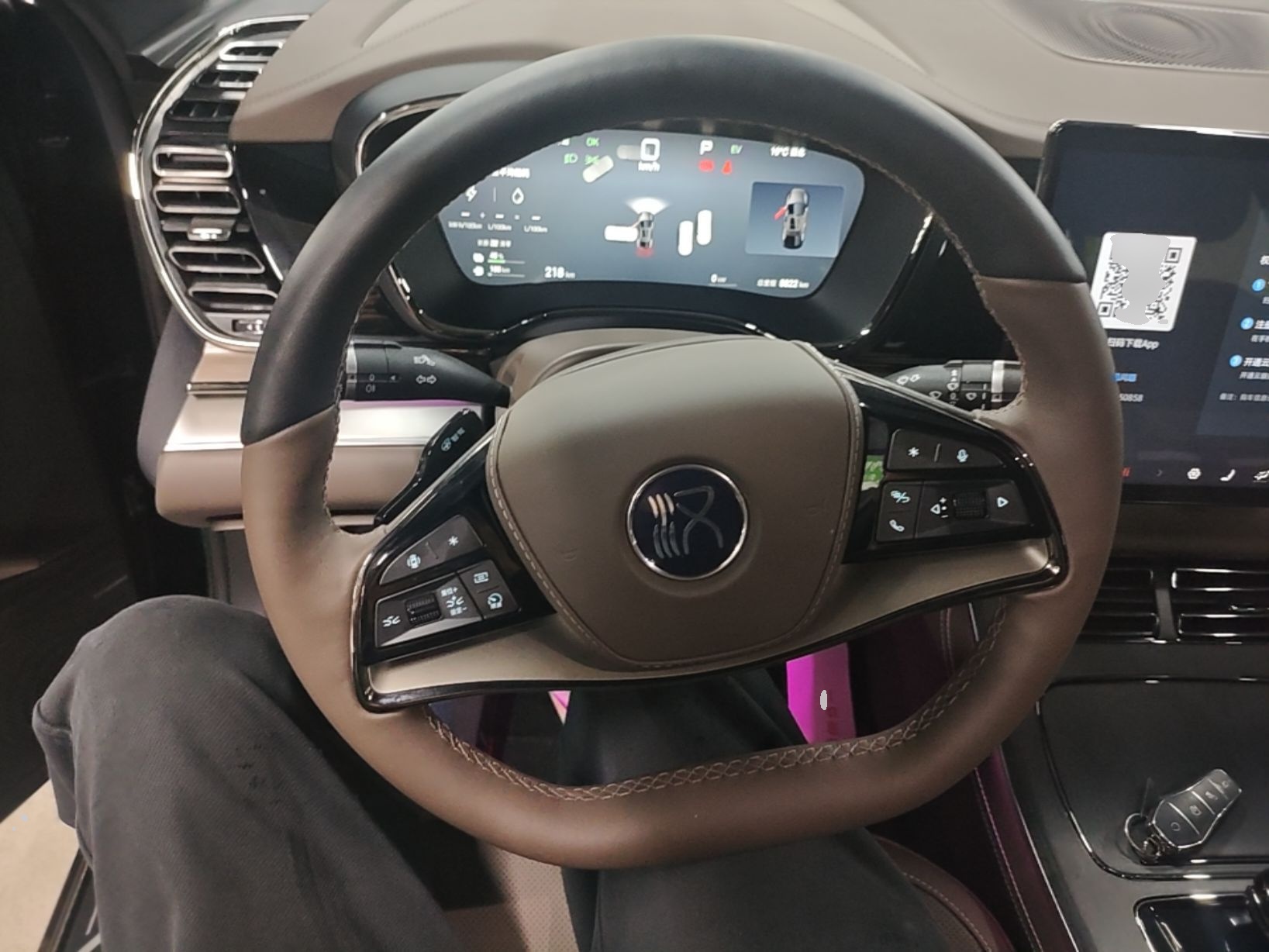 BYD Han 2025 DM-i Smart Drive 125KM Prestige Model — снимка 13