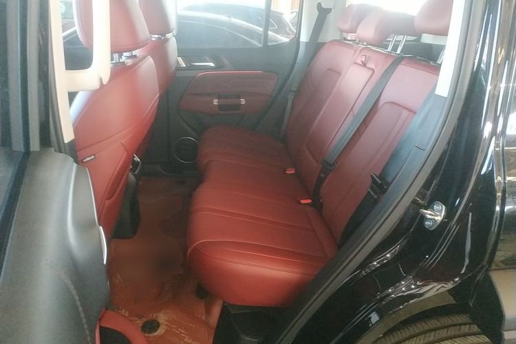 Used Tank 300 2024 2.0T Conqueror