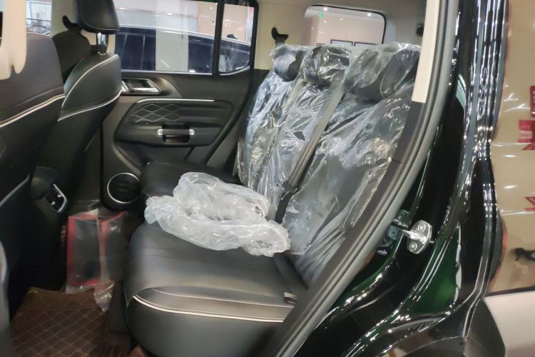 Used Tank 300 2024 2.0T Conqueror