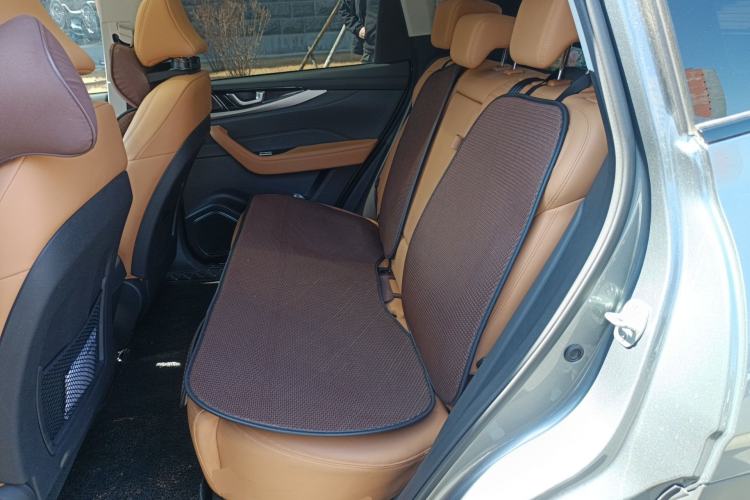 Used WM Motor W6 2021 520km ACE Advanced Intelligence Edition
