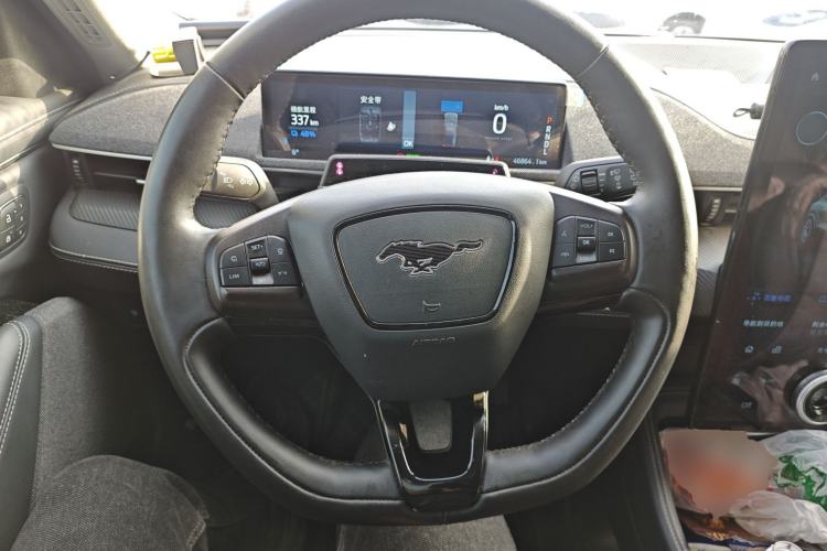 Used Ford Mustang Mach-E 2021 AION Y Plus Rear-Drive Luxury Edition (Long Range)
