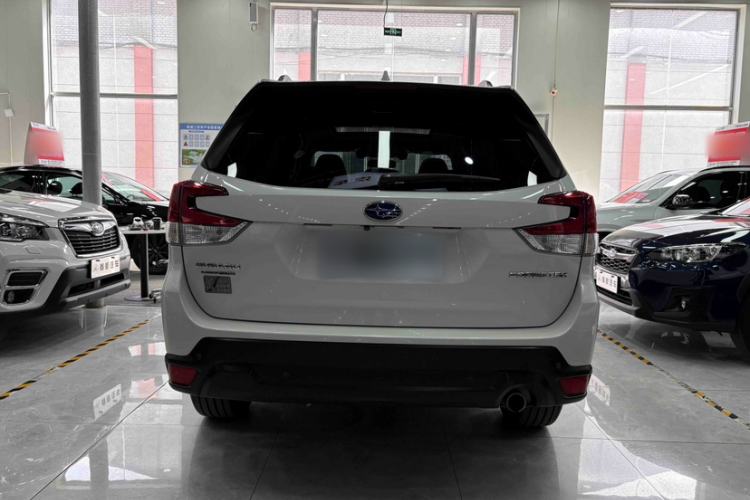 Used Subaru Forester 2019 2.0i Luxury Edition EyeSight Exterior 2