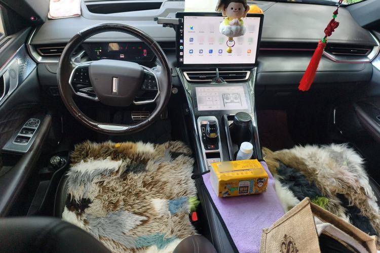 Used Wey Mocha 2021 2.0T Two-Wheel-Drive Premium Edition Center Console