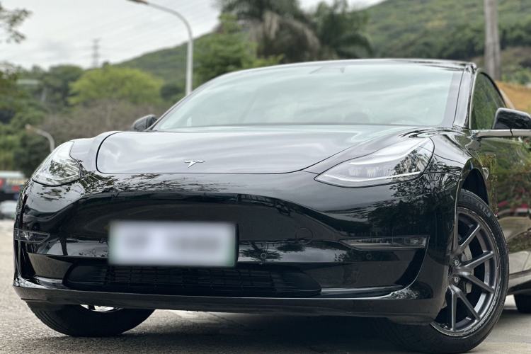 Used Tesla Model 3 2019 Long-Range Rear-Wheel-Drive Version Exterior 9