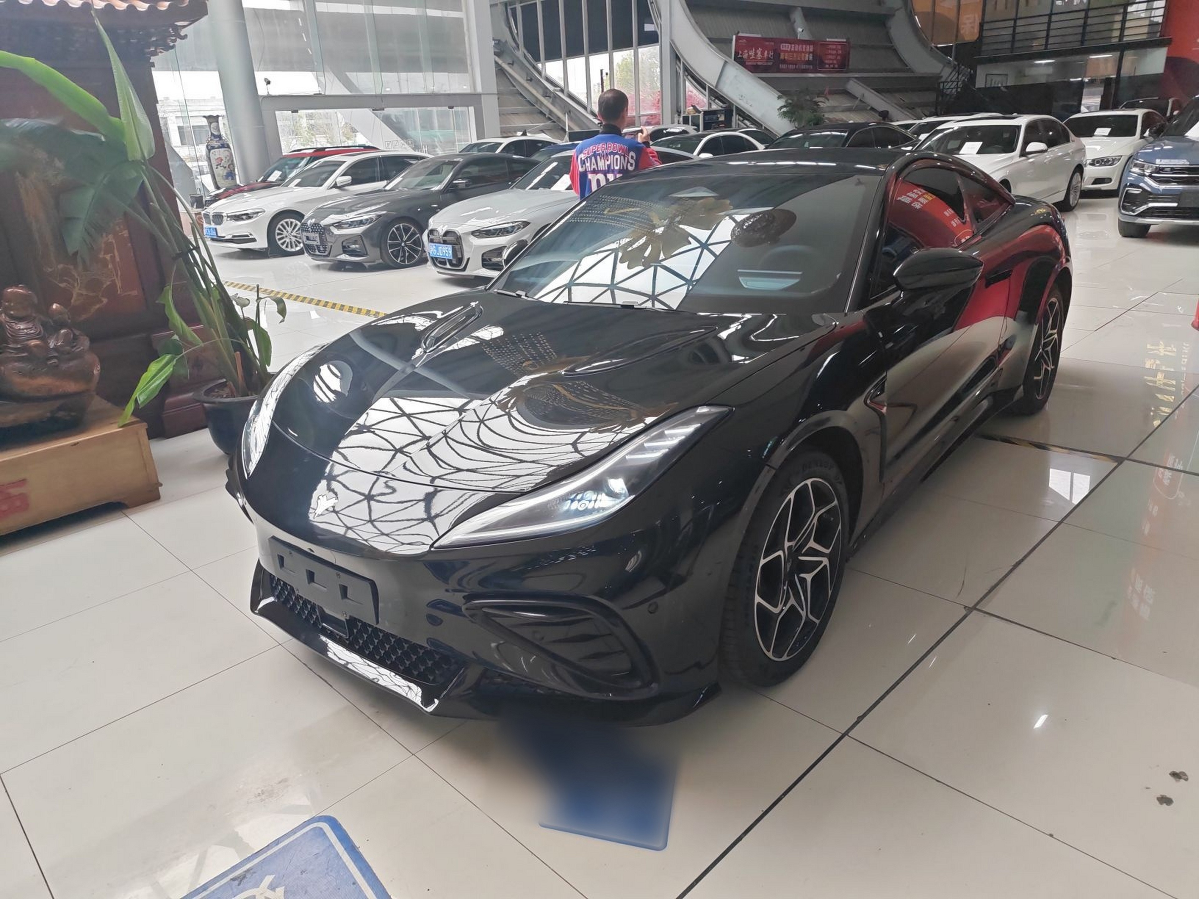 تحت مقدمة السيارة