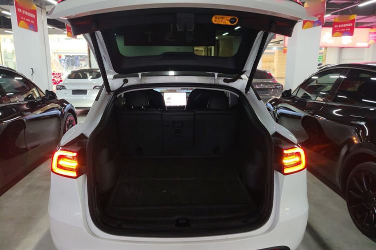 Used Tesla Model Y 2021 Standard Range Rear-Wheel Drive Version
