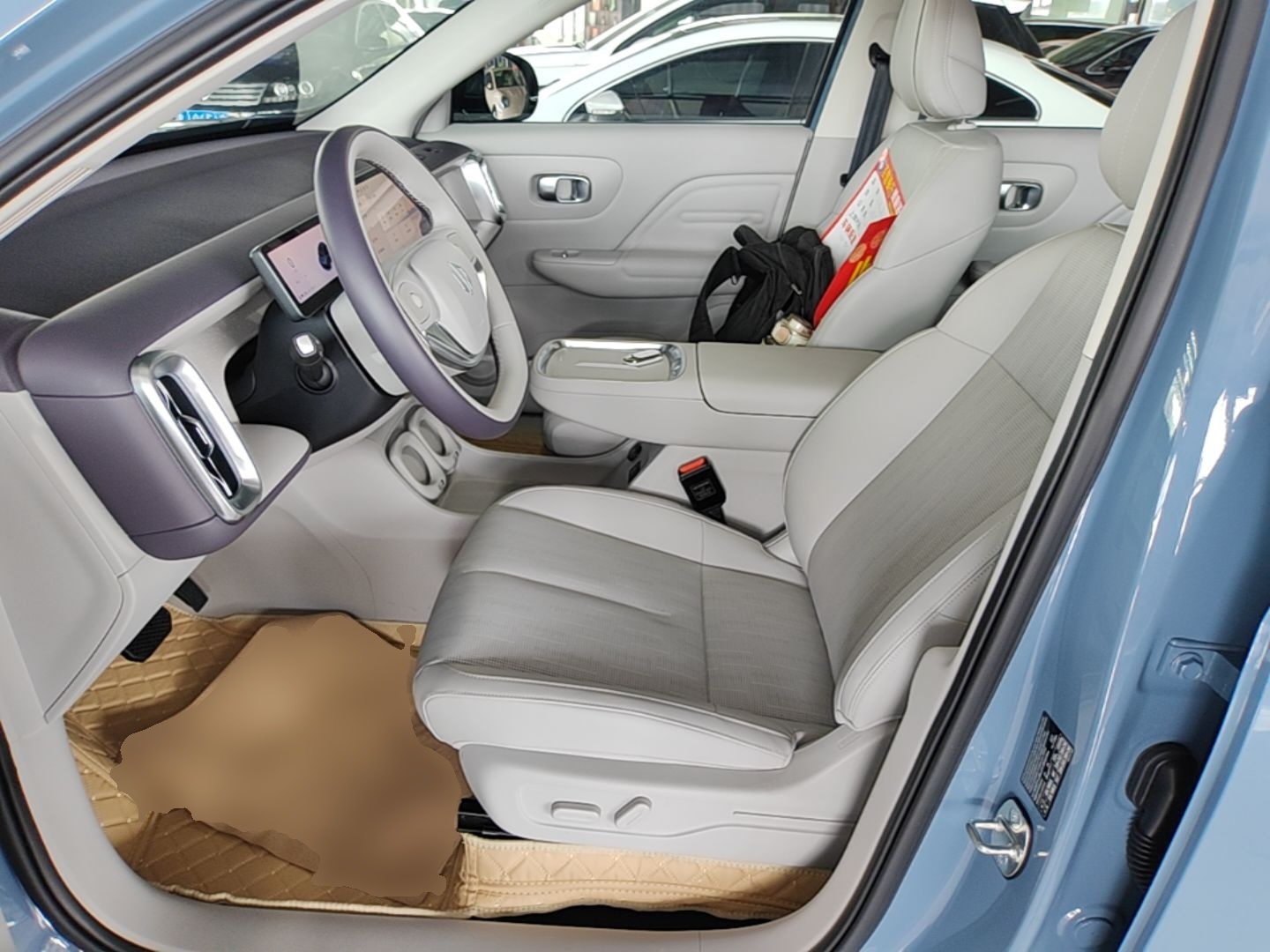 Interior delantero