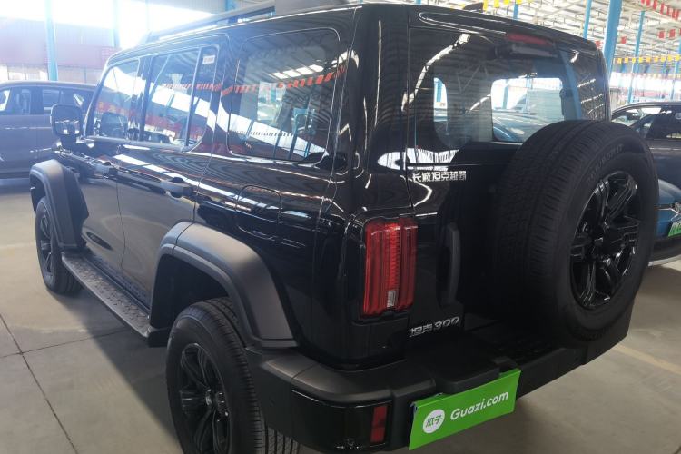 Used Tank 300 2025 2.0T Conqueror
